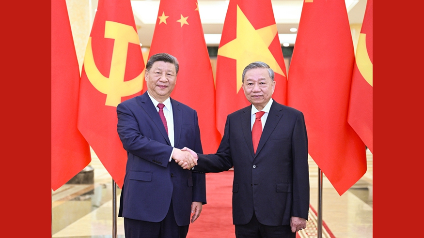 習近平同越共中央總書記蘇林舉行會談